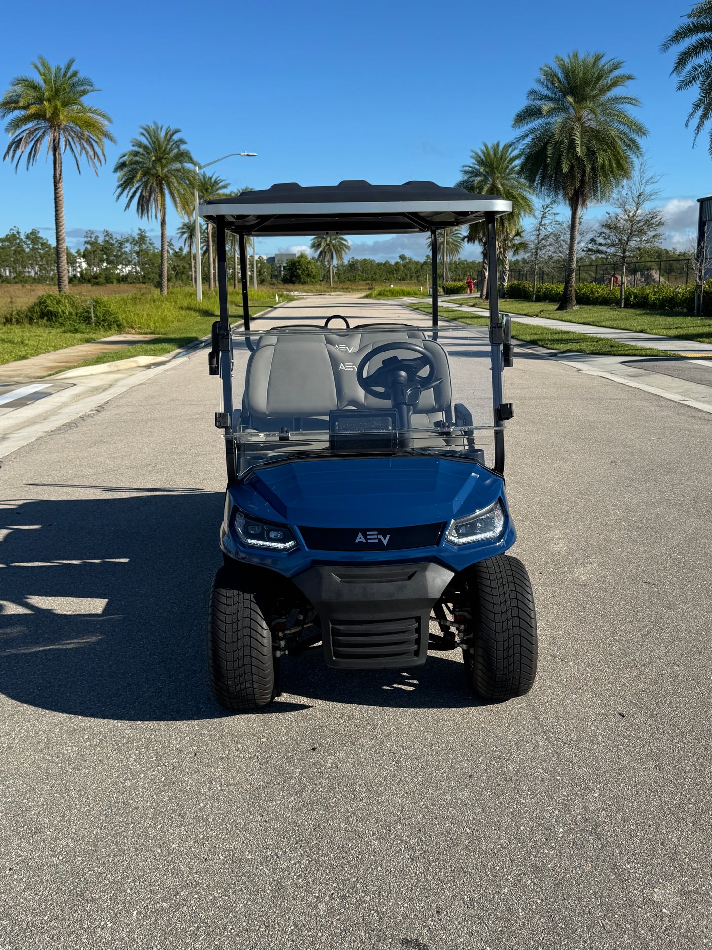 Advanced EV Advent 6 Golf Cart- Navy Blue