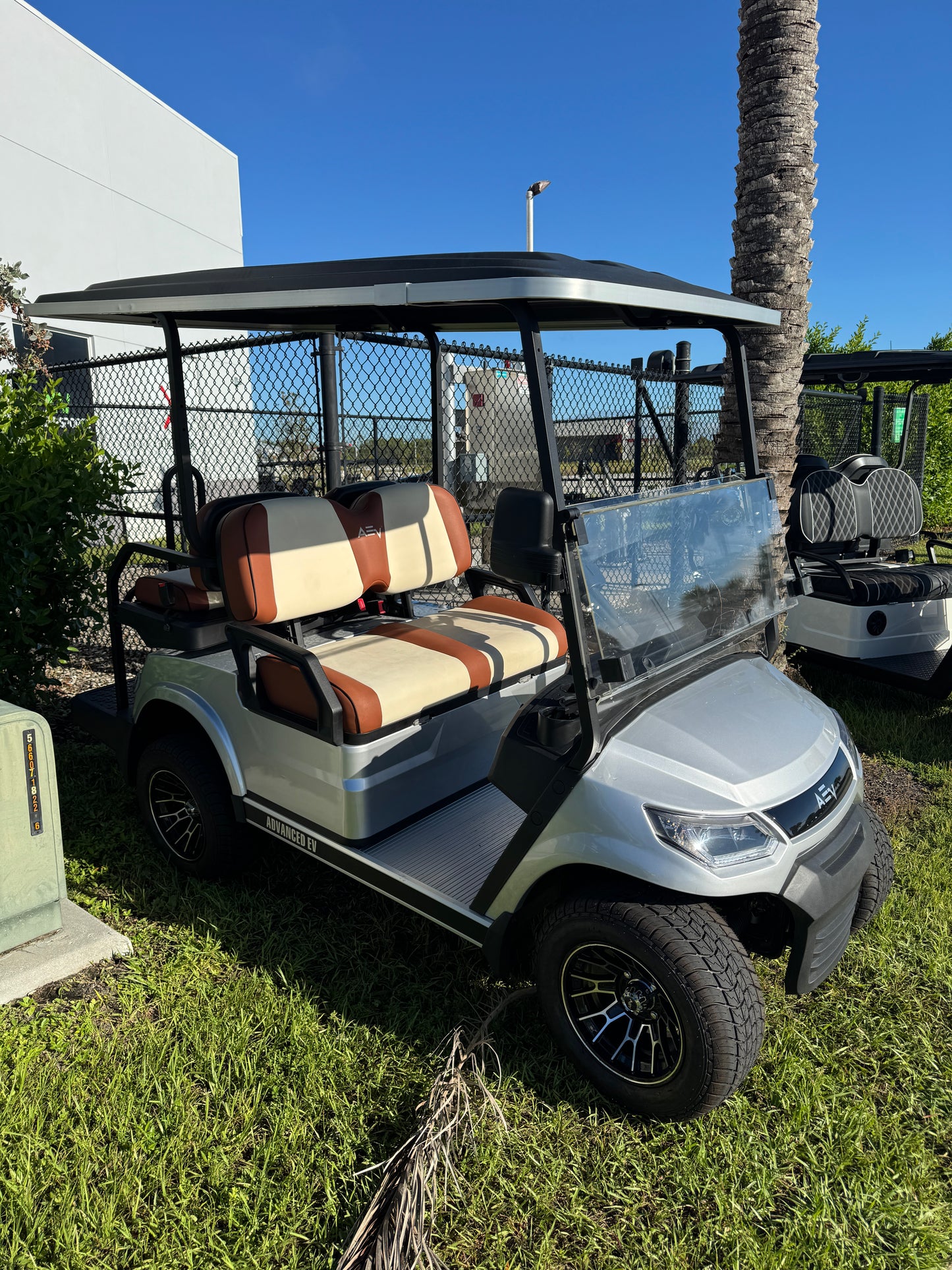 Advanced EV Advent 4 Golf Cart- Silver