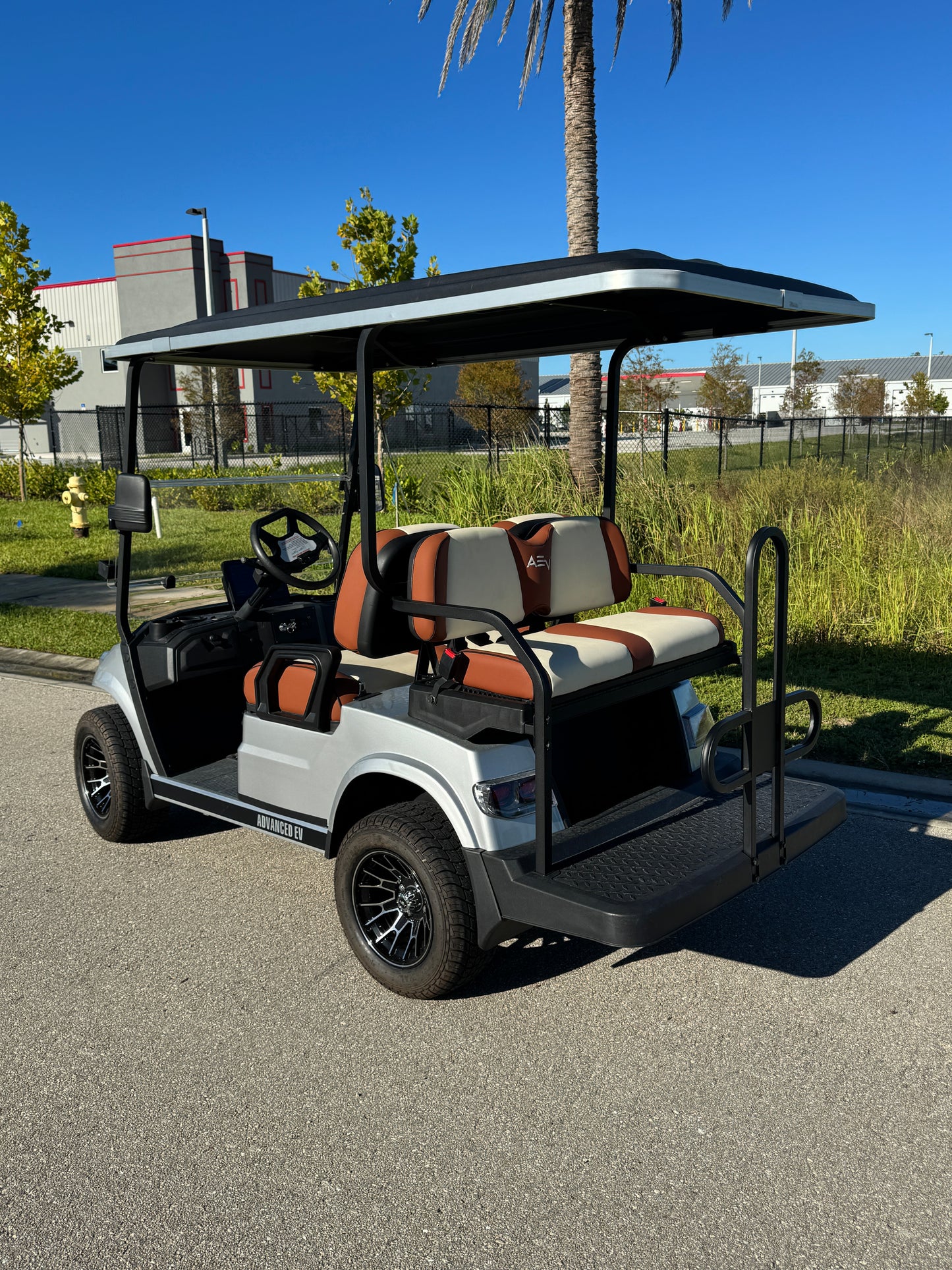 Advanced EV Advent 4 Golf Cart- Silver
