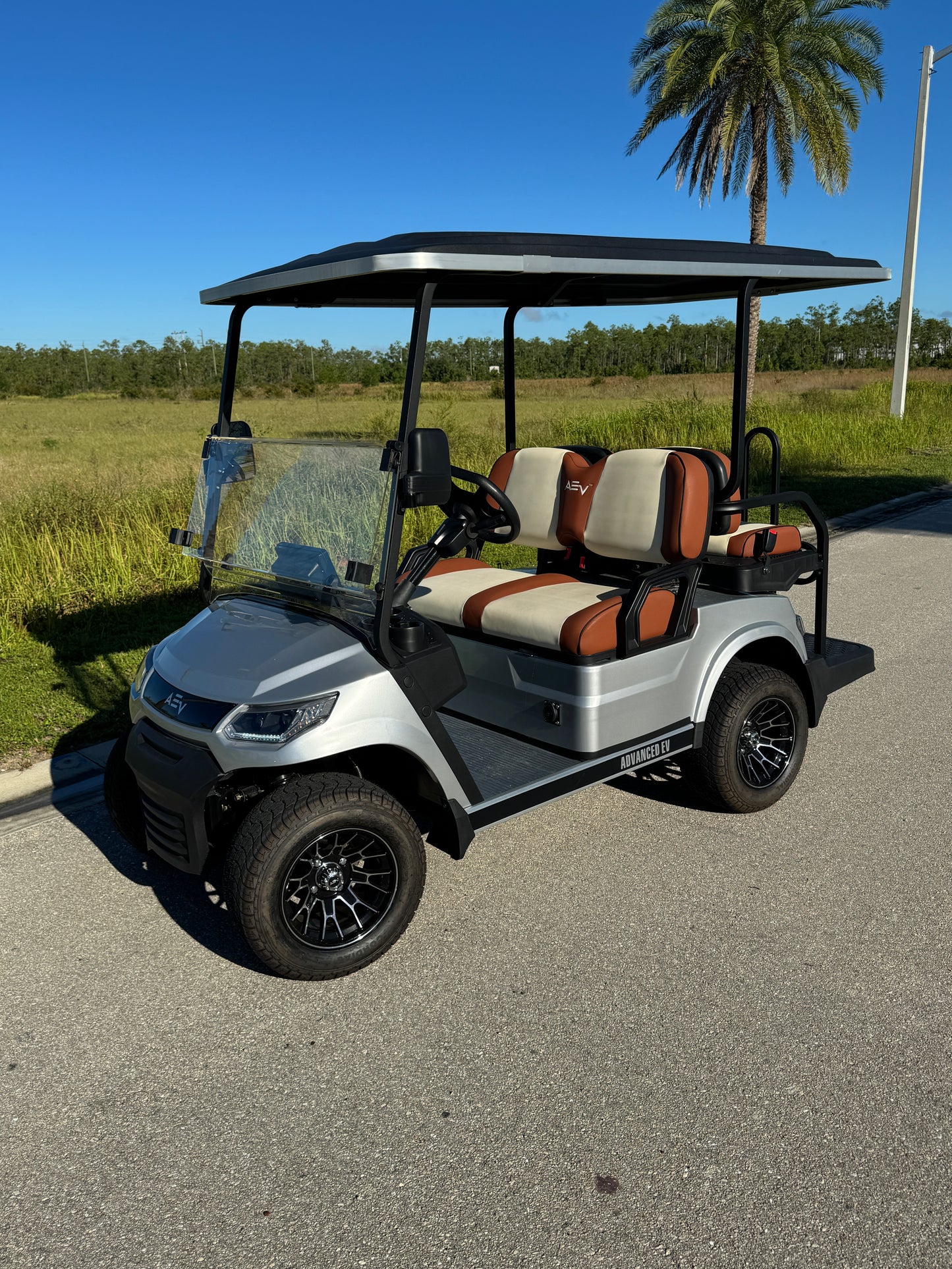 Advanced EV Advent 4 Golf Cart- Silver