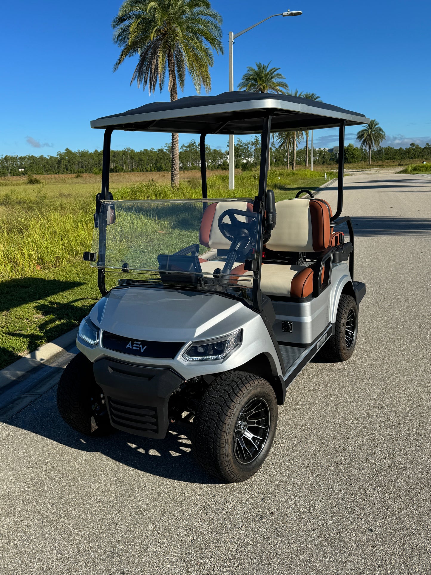 Advanced EV Advent 4 Golf Cart- Silver