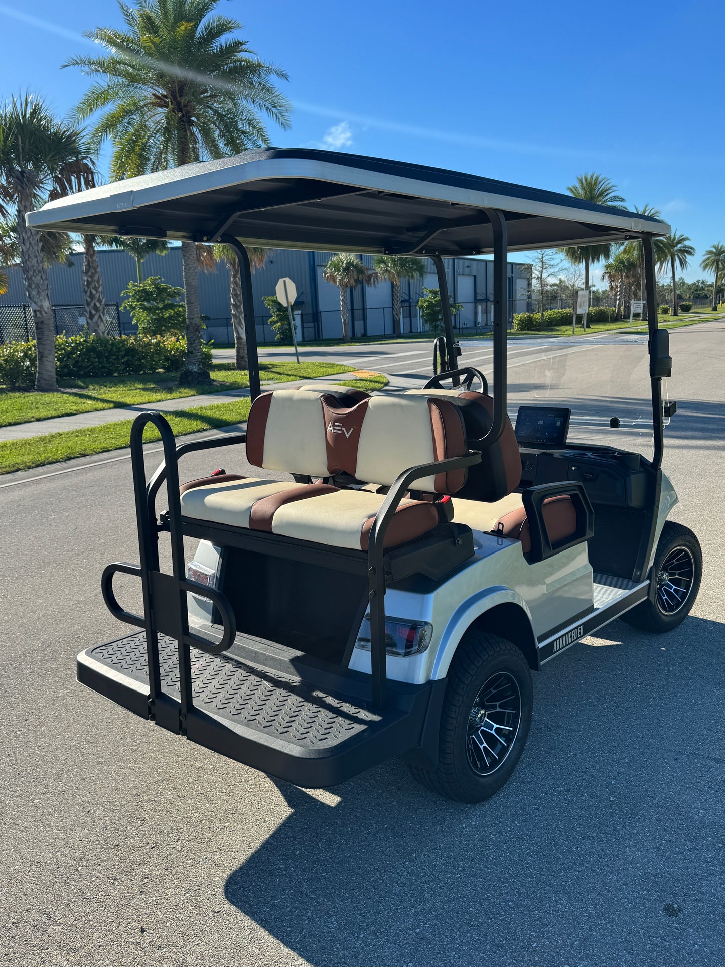 Advanced EV Advent 4 Golf Cart- Silver